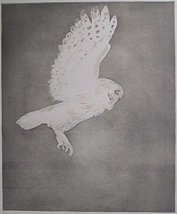 Image description is not available for 1980.040